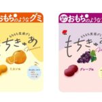 【新作グミ!!】この食感、初めまして。米粉を使ったおもちのようなグミ「もちきゅあ」が9月9日(月)より新発売🍊🍇💭