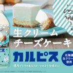 【新作ドリンク】まるで飲むチーズケーキ！「生クリーム専門店Milk×カルピス」冬にぴったりの濃厚でコクのある「生クリームチーズケーキ風味のカルピス」が11月19日(火)から期間限定販売🧁🧀💫